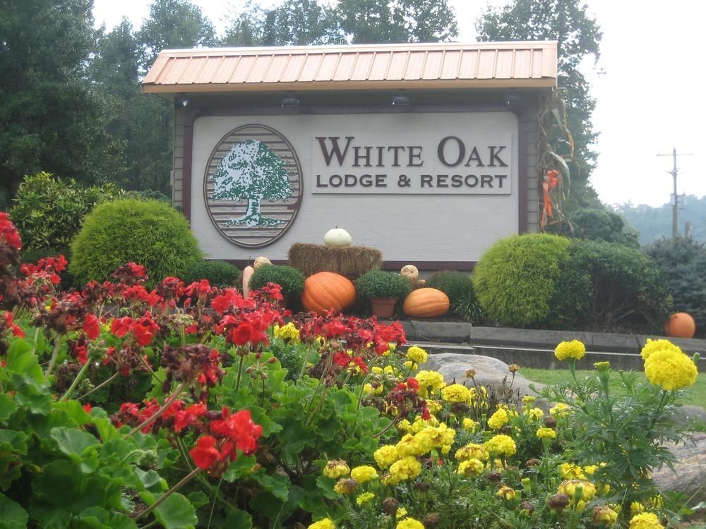 White Oak Lodge And Resort Pittman Center Esterno foto