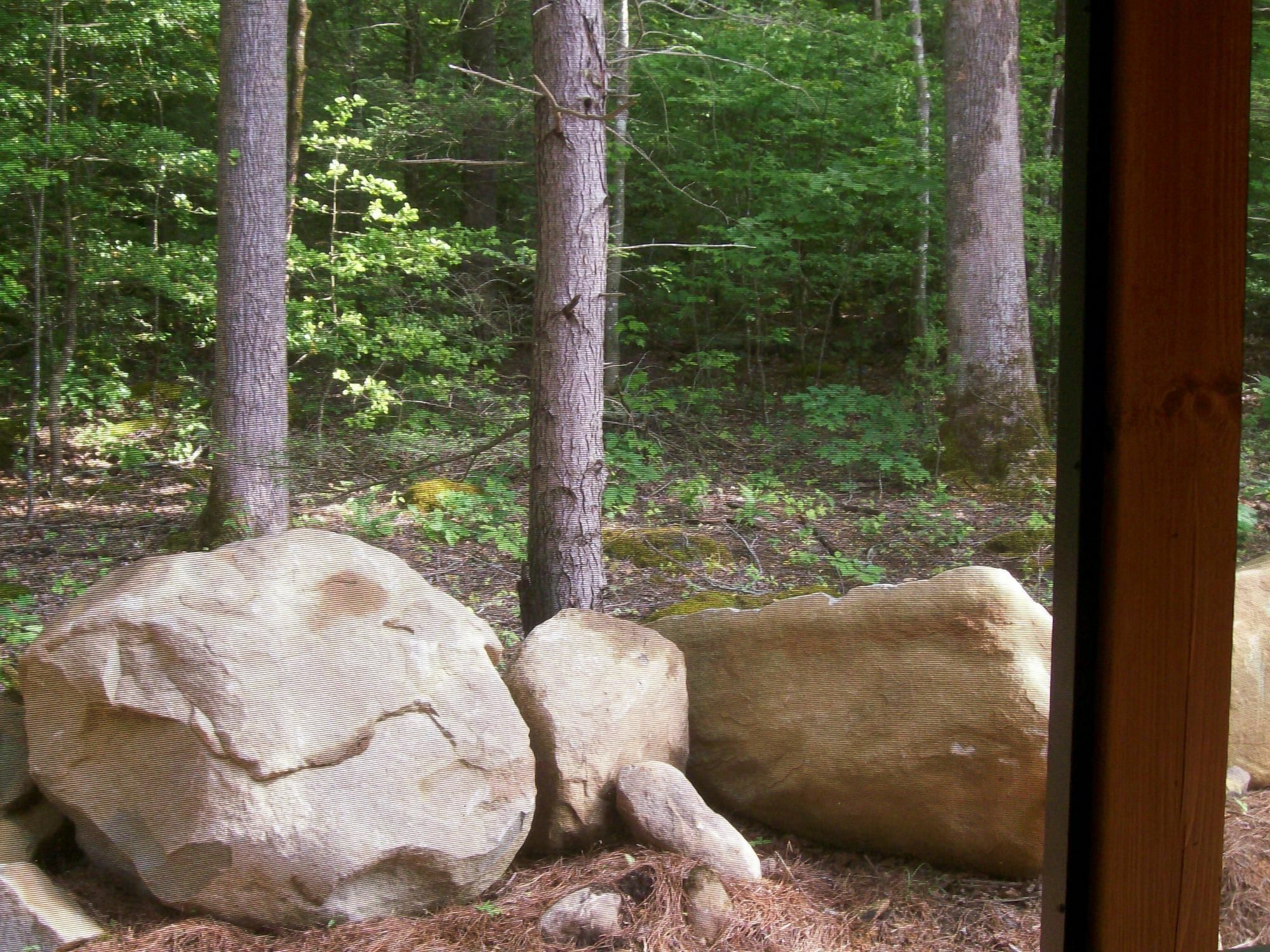 White Oak Lodge And Resort Pittman Center Esterno foto